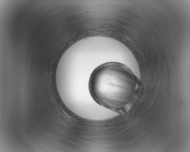 X0000068890760200605192135