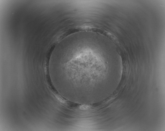 X0000068890762200605192135