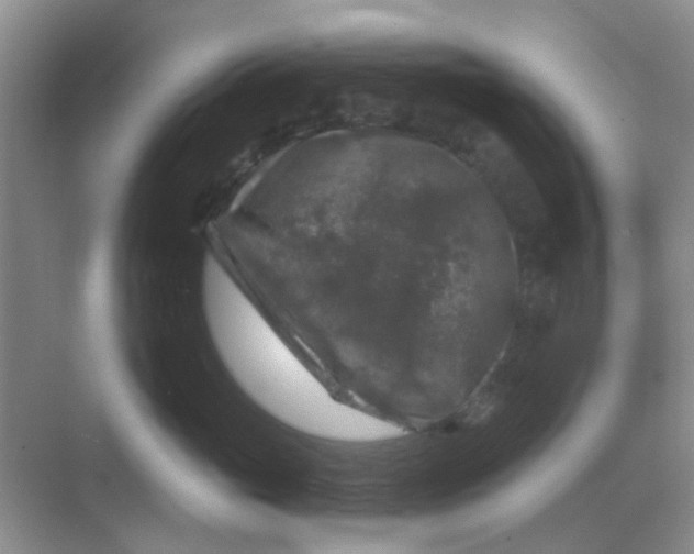 X0000068890765200605192135