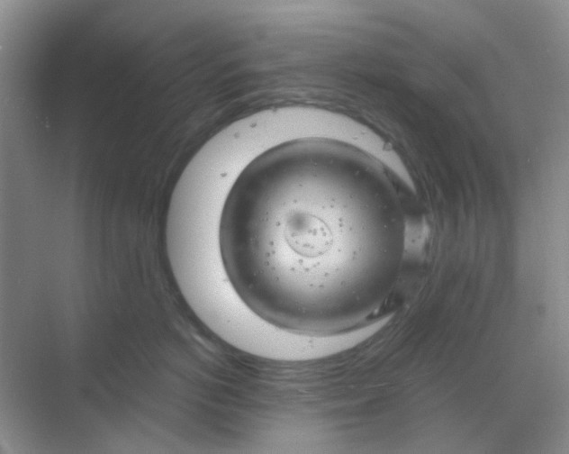 X0000068890766200605192135