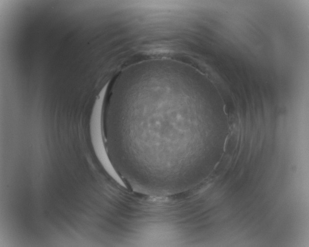 X0000068890767200605192135