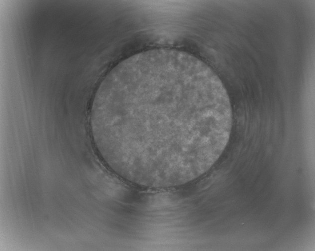 X0000068890769200605192134