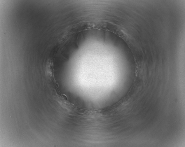 X0000068890770200605192134