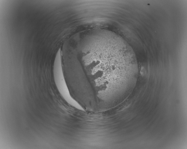 X0000068890771200605192134