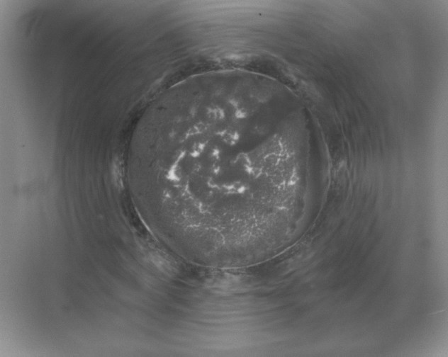 X0000068890772200605192134