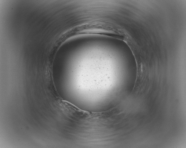 X0000068890773200605192134