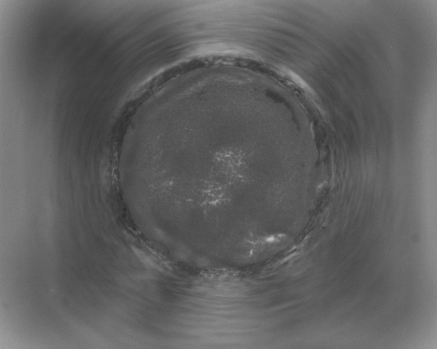 X0000068890775200605192134