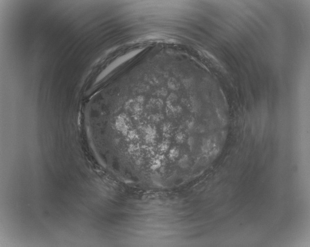 X0000068890776200605192134