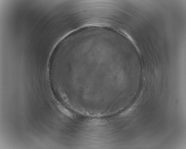 X0000068890779200605192134