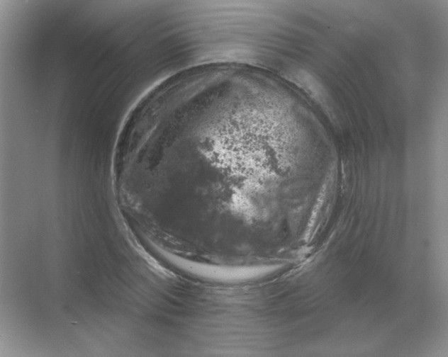 X0000068890780200605192134