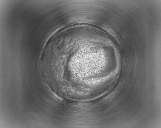 X0000068890782200605192134