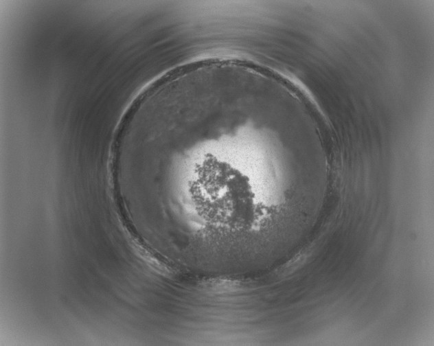 X0000068890783200605192134