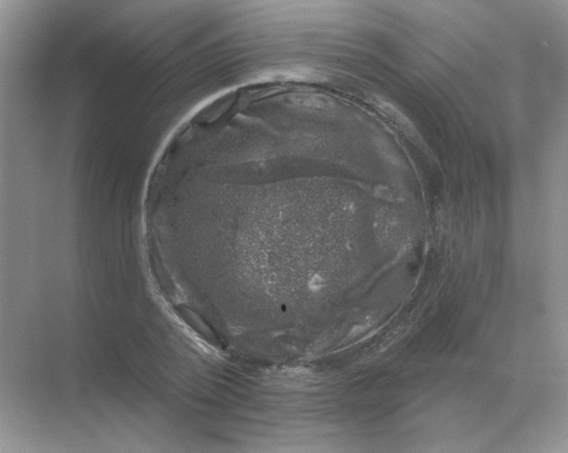 X0000068890784200605192134