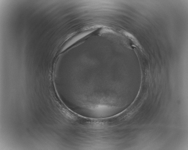 X0000068890785200605192134