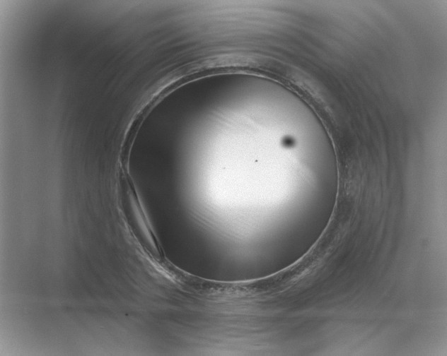 X0000068890786200605192134