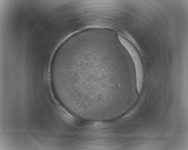 X0000068890787200605192134