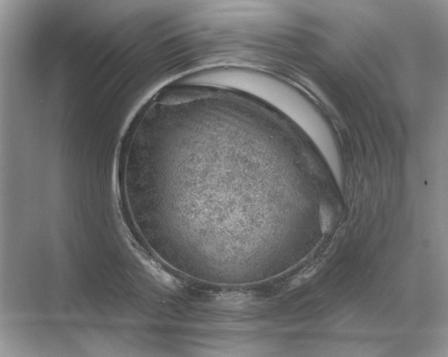 X0000068890788200605192134