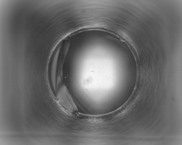 X0000068890789200605192134