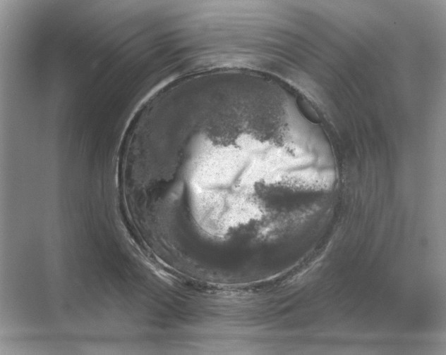 X0000068890790200605192134