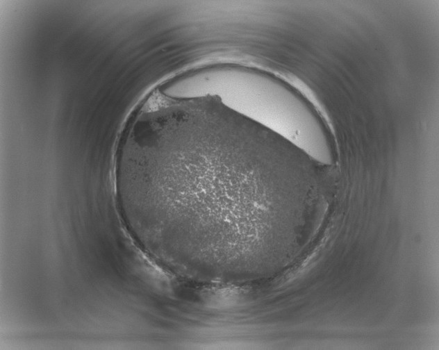 X0000068890791200605192134