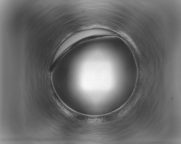 X0000068890793200605192134