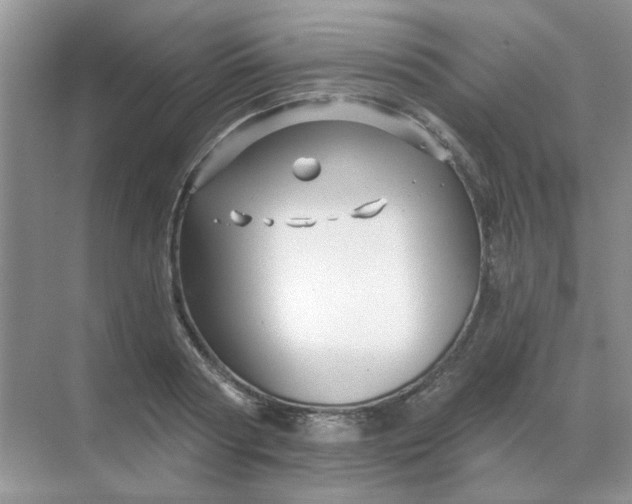 X0000068890794200605192134