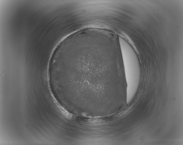 X0000068890795200605192134