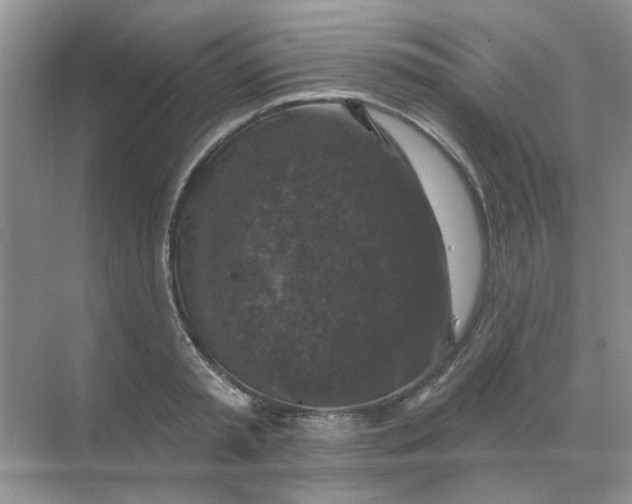 X0000068890797200605192134