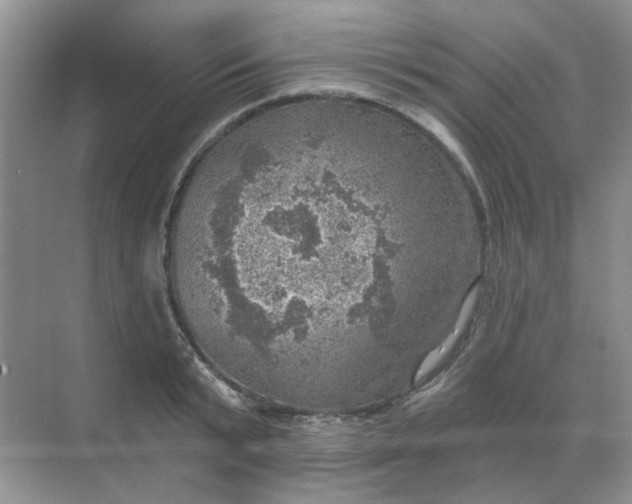 X0000068890799200605192133