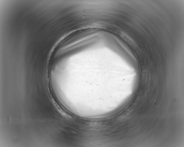 X0000068890800200605192133