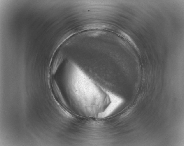 X0000068890802200605192133