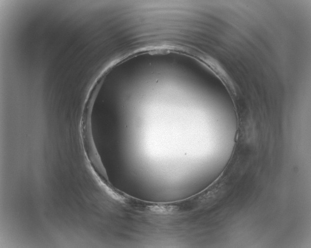 X0000068890805200605192133