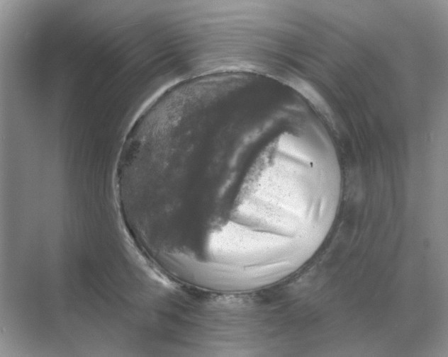 X0000068890806200605192133