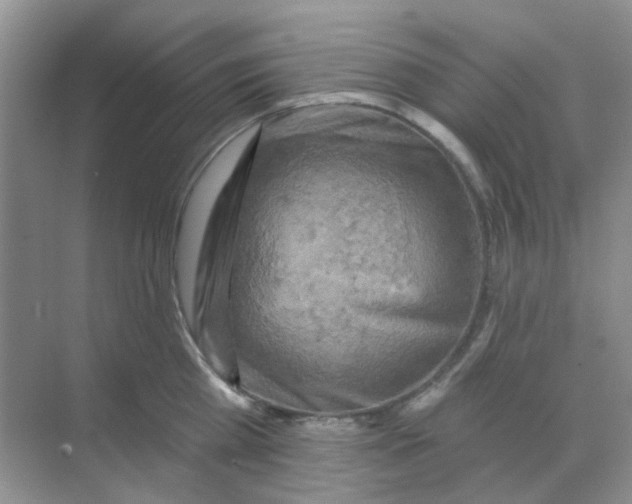 X0000068890809200605192133