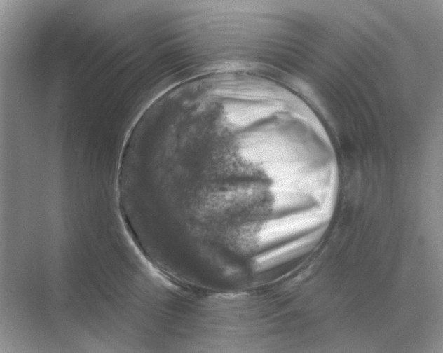 X0000068890810200605192133