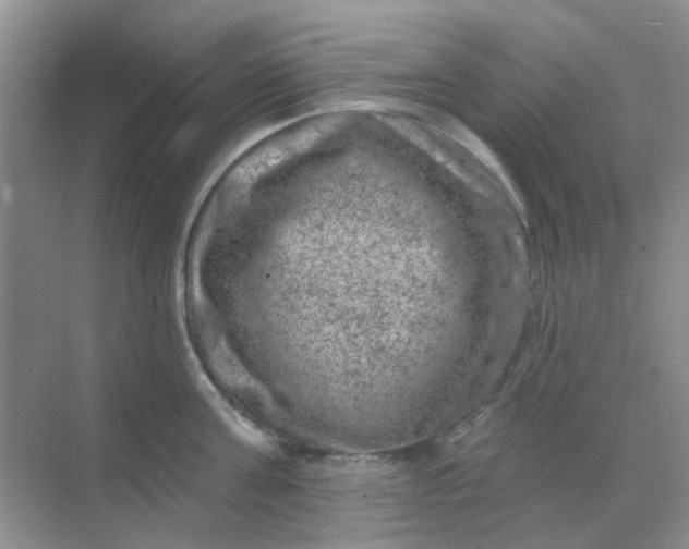 X0000068890811200605192133