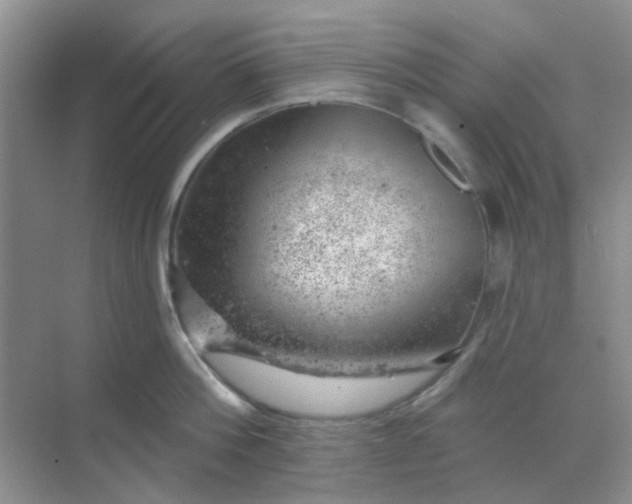 X0000068890812200605192133