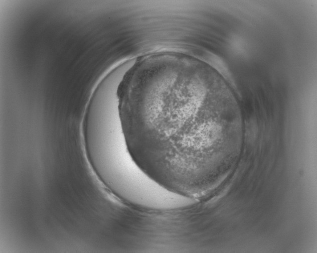 X0000068890814200605192133