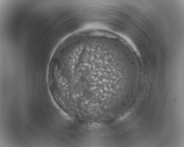 X0000068890815200605192133