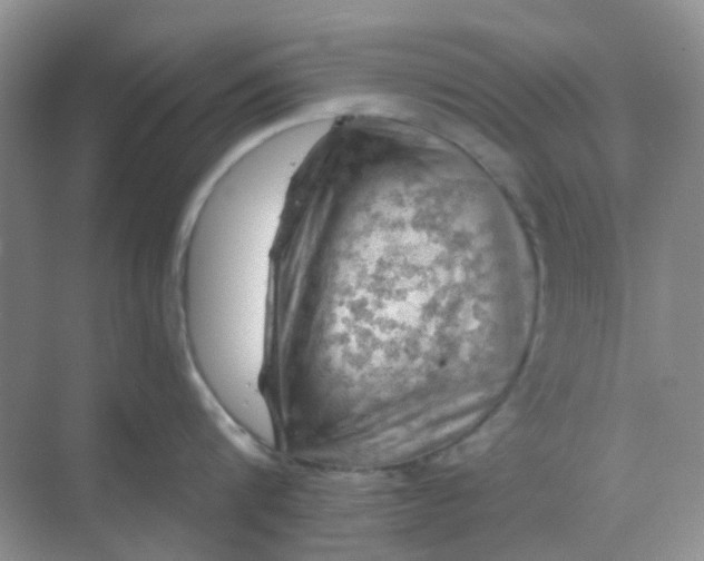 X0000068890816200605192133