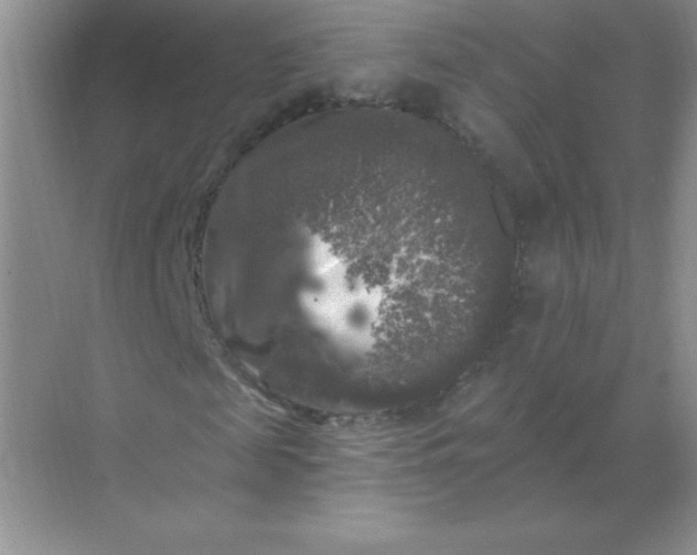 X0000068890817200605192132