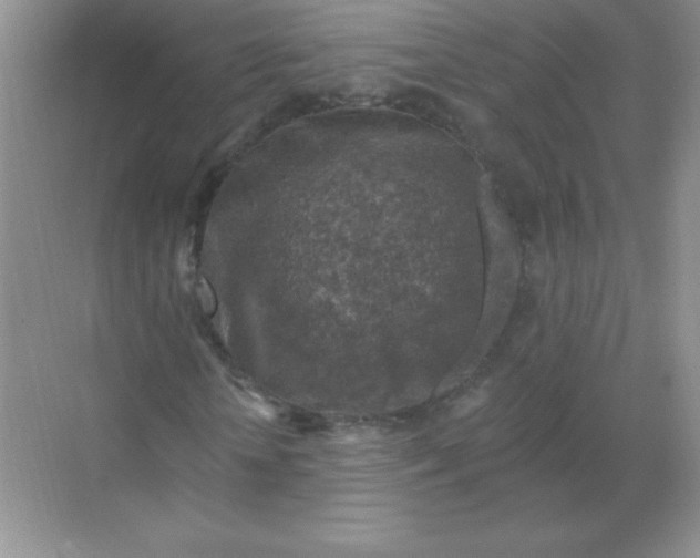 X0000068890818200605192132