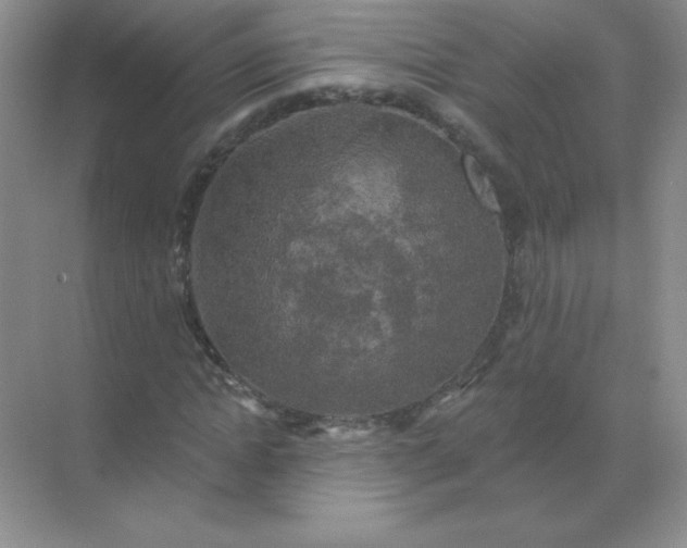 X0000068890822200605192132