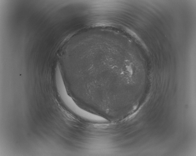 X0000068890825200605192133