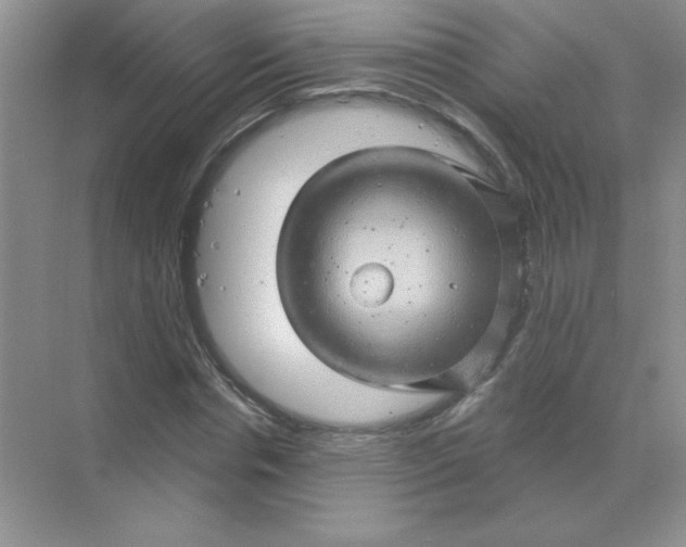 X0000068890826200605192133