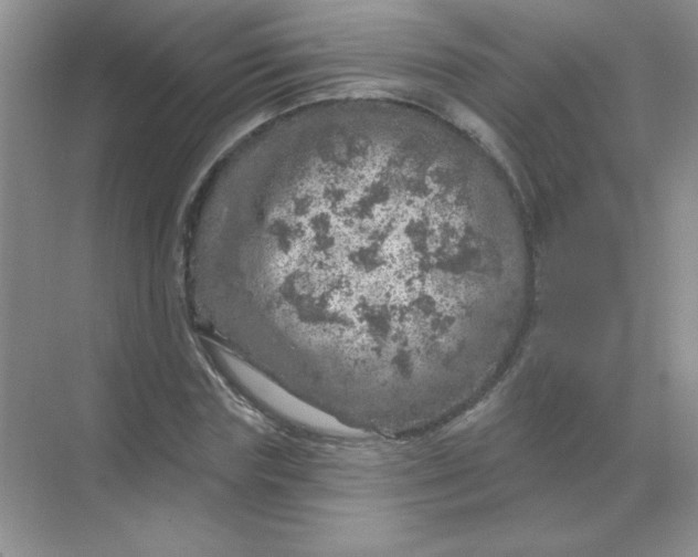 X0000068890827200605192133