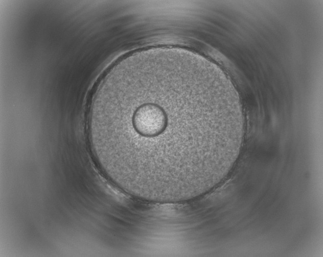 X0000068890828200605192133