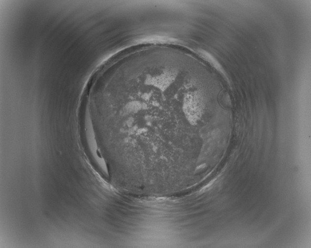 X0000068890831200605192133