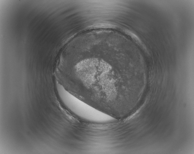 X0000068890833200605192133