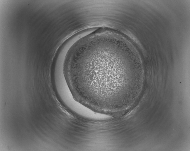 X0000068890834200605192133